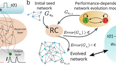 Emergent E-I Structure in Performance-Evolved Reservoir Networks of Neuronal Population Dynamics featured image